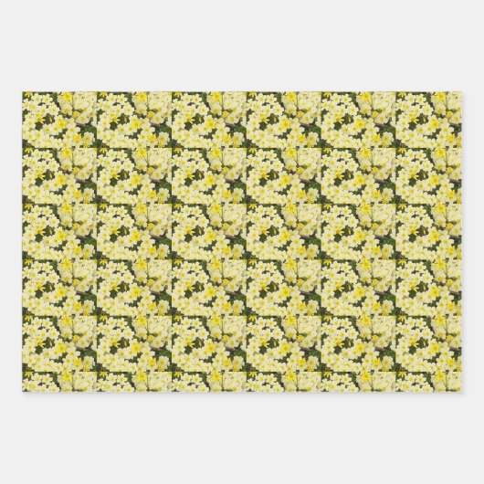 Feuille De Papier Cadeau Primroses du printemps (Devant)