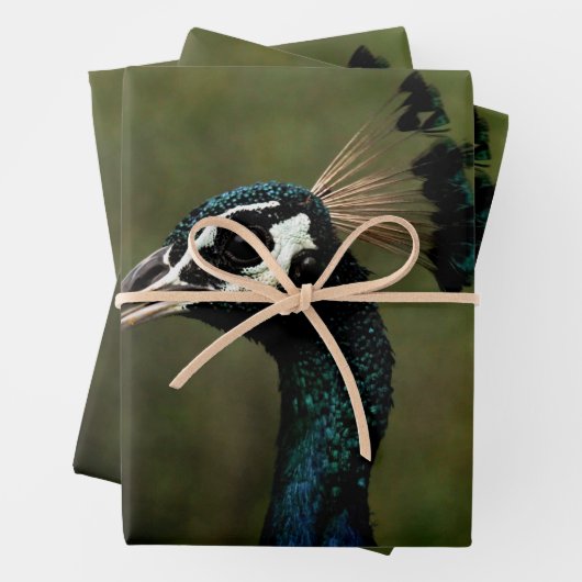 Feuille De Papier Cadeau Profil de Peacock (En situation)
