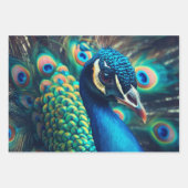 Feuille De Papier Cadeau Profil Peacock (Devant 2)