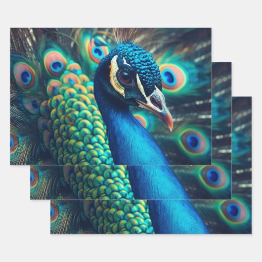 Feuille De Papier Cadeau Profil Peacock (Lot)