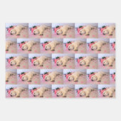 Feuille De Papier Cadeau Puppy Sleep Flower 01 (Devant 3)