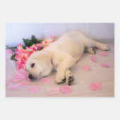 Feuille De Papier Cadeau Puppy Sleep Flower 01 (Devant)