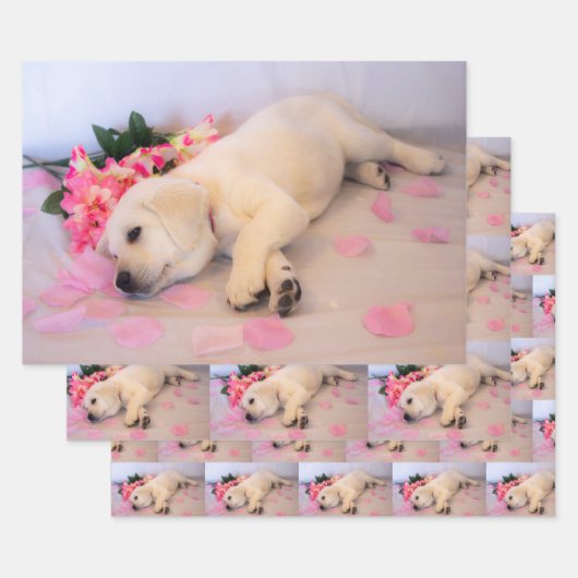 Feuille De Papier Cadeau Puppy Sleep Flower 01 (Lot)