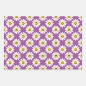 Feuille De Papier Cadeau Purple Daisy Stried et Polka Dot (Devant)