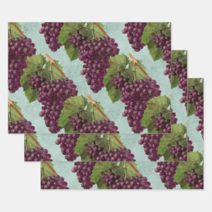 Feuille De Papier Cadeau Raisins et vignes Vintages et pourpres