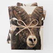 Feuille De Papier Cadeau Ram (En situation)