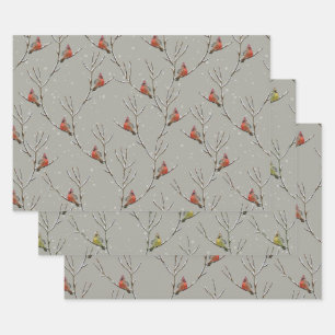 Feuille De Papier Cadeau Red Cardinal Perched on a Tree Branch Wrapping Pap