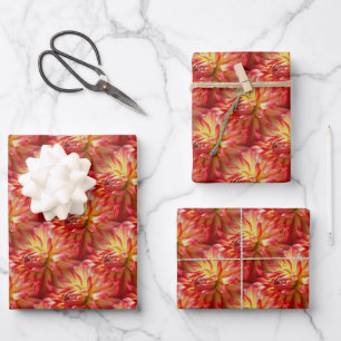Feuille De Papier Cadeau Red Dahlia Flower Motif Nature