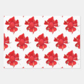Feuille De Papier Cadeau Red Roses, (Devant)