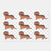 Feuille De Papier Cadeau Red Sable Long Cheveux Dachshund Chien Motif & Pat (Devant)
