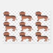 Feuille De Papier Cadeau Red Sable Smooth Coat Dachshund mignon chien Motif (Devant 3)