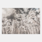 Feuille De Papier Cadeau Reed Nature Photo (Devant 2)