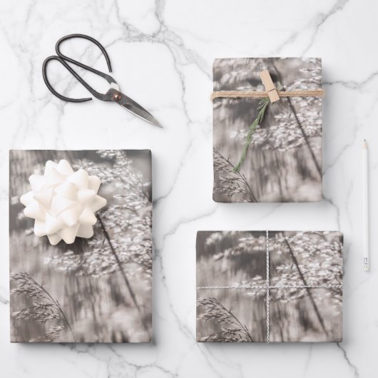 Feuille De Papier Cadeau Reed Nature Photo (Recto)