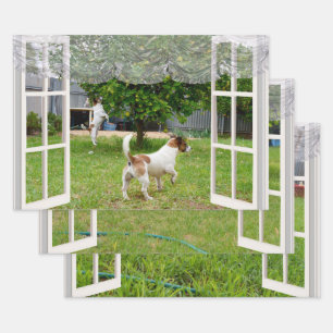 Feuille De Papier Cadeau Renard Terriers À La Découverte Du Jardin,