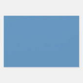 Feuille De Papier Cadeau Retro Garden Floral 60s les années 70 Motif (Devant 2)