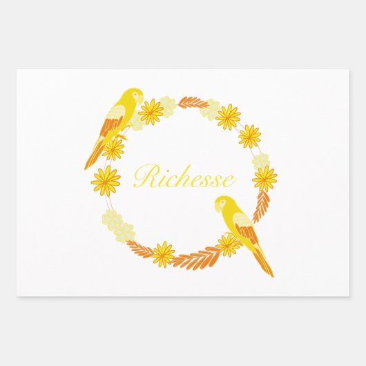 FEUILLE DE PAPIER CADEAU RICHE (Devant 3)