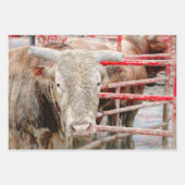 Feuille De Papier Cadeau Rodeo Bull Rustique Pays Ouest (Devant 3)