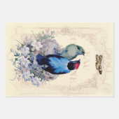 Feuille De Papier Cadeau Romantique Shabby Chic birds et papillon (Devant 3)