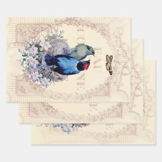 Feuille De Papier Cadeau Romantique Shabby Chic birds et papillon (Lot)