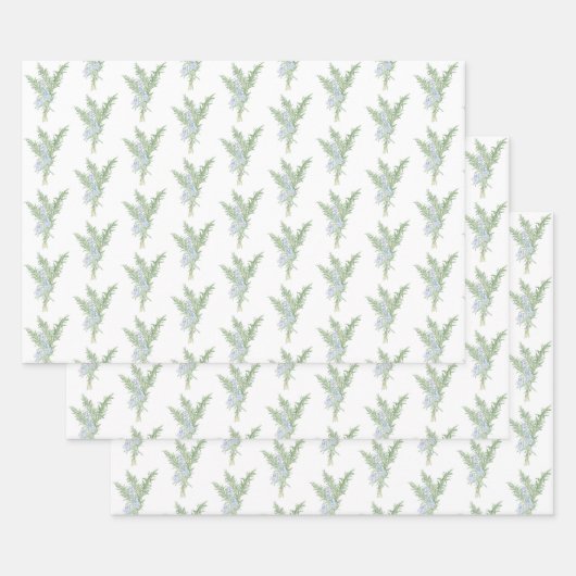 Feuille De Papier Cadeau Romarin (Lot)