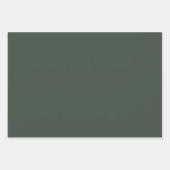 Feuille De Papier Cadeau Rose et vert doux (Devant)