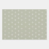 Feuille De Papier Cadeau Rose pastel, Vert de printemps, Violet lilas Signe (Devant)