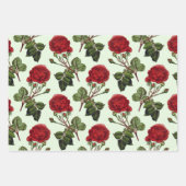 Feuille De Papier Cadeau Rose Red Long Stem Motif Mint Green Arrière - plan (Devant 3)