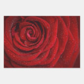 Feuille De Papier Cadeau Rose rouge florale romantique (Devant 3)