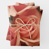 Feuille De Papier Cadeau Roses roses (En situation)