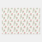 Feuille De Papier Cadeau Rosy Picnic Trio 3 (Devant)