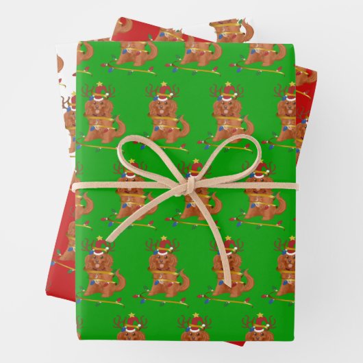 Feuille De Papier Cadeau Ruby Cavalier King Charles Noël (En situation)