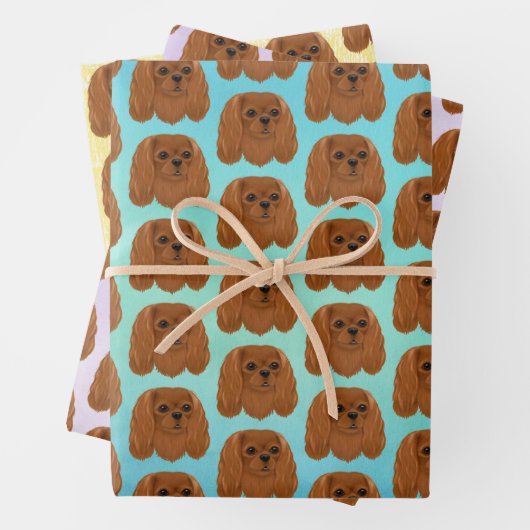 Feuille De Papier Cadeau Ruby Cavalier King Charles Spaniel (En situation)