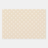 Feuille De Papier Cadeau Rustic Country Chic Cream Patterns  (Devant 3)