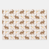 Feuille De Papier Cadeau Rustic Spring Hares And Carrots Beige Pattern (Devant 3)
