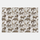 Feuille De Papier Cadeau Safari Animaux à gris clair (Devant 2)
