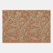 Feuille De Papier Cadeau Saffron Arcadia William Morris Hawthorn (Devant)