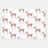 Feuille De Papier Cadeau Sage Green Christmas Deer (Devant 3)