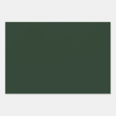 Feuille De Papier Cadeau Sage Green Polka Dots Modern Pattern (Devant 3)