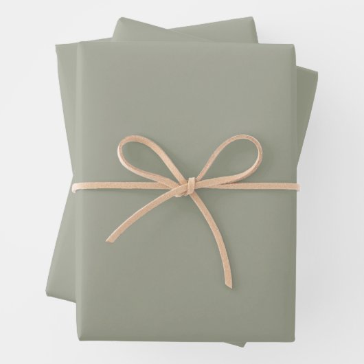 Feuille De Papier Cadeau Sage moderne Vert Solide Plaque (En situation)