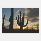 Feuille De Papier Cadeau Saguaro Sunset II Arizona (Devant)