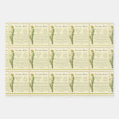 Feuille De Papier Cadeau Salade Dandelion (Devant 2)