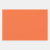 Feuille De Papier Cadeau Saumon (Devant 2)