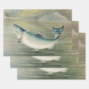 Feuille De Papier Cadeau Saumon de Californie par S.A. Kilbourne, Poisson V