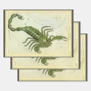 Feuille De Papier Cadeau Scorpion, Constellation Vintage Urania's Mirror