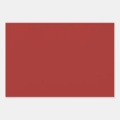 Feuille De Papier Cadeau Scott Green Modern Scottish Tartan (Devant 3)