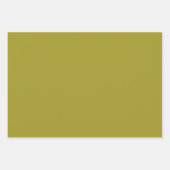 Feuille De Papier Cadeau Scott Green Modern Scottish Tartan (Devant 2)