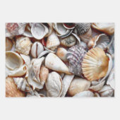 Feuille De Papier Cadeau Sea Shells Ocean Beach Belle Découpage (Devant)