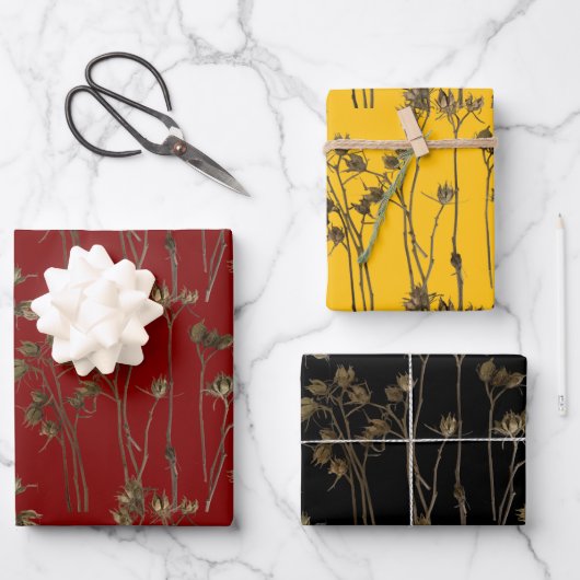 Feuille De Papier Cadeau Seed Pods on a Wrapping Paper Set  (Recto)