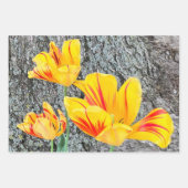 Feuille De Papier Cadeau Séquence de trois tulipes jaunes / (Devant 3)