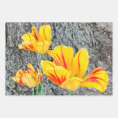 Feuille De Papier Cadeau Séquence de trois tulipes jaunes / (Devant)